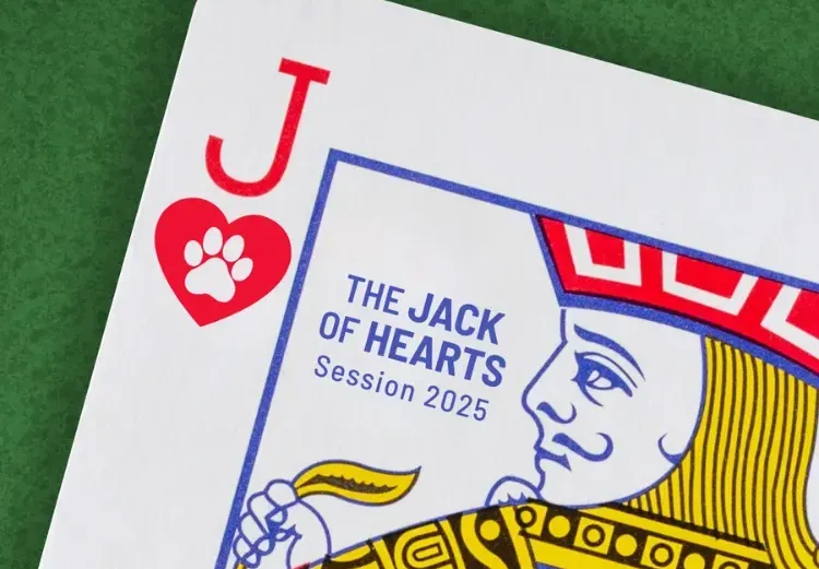 A Day of Magic, for Jack