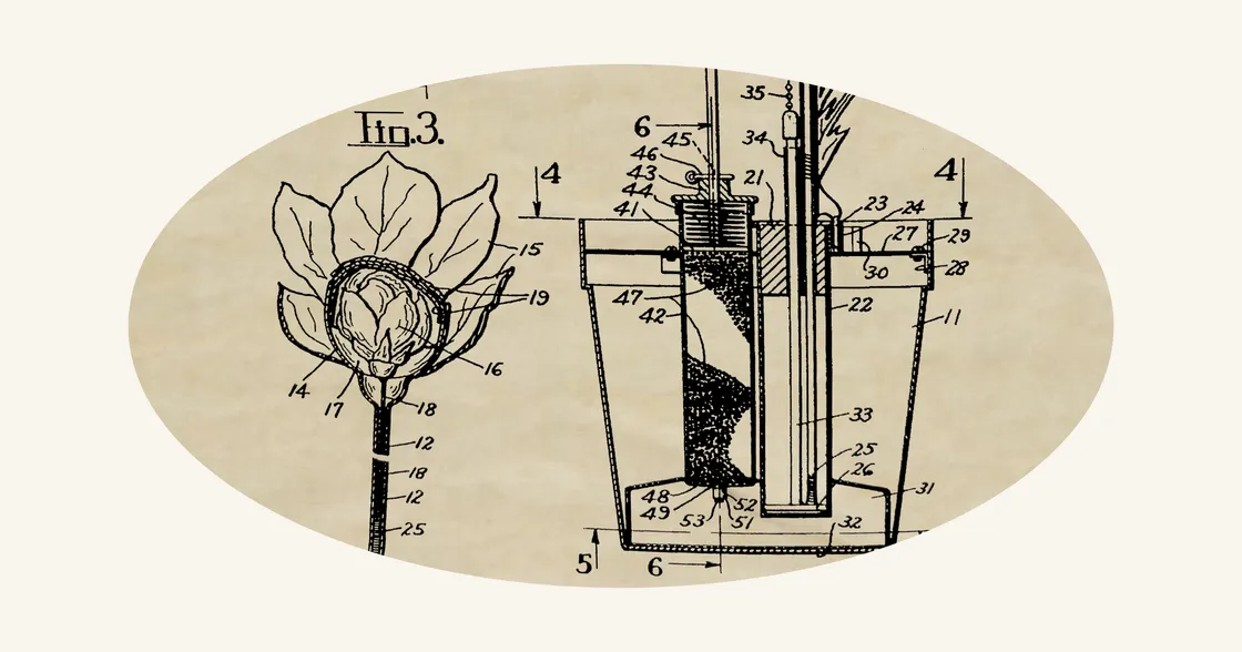 June 18: Blooming Rose