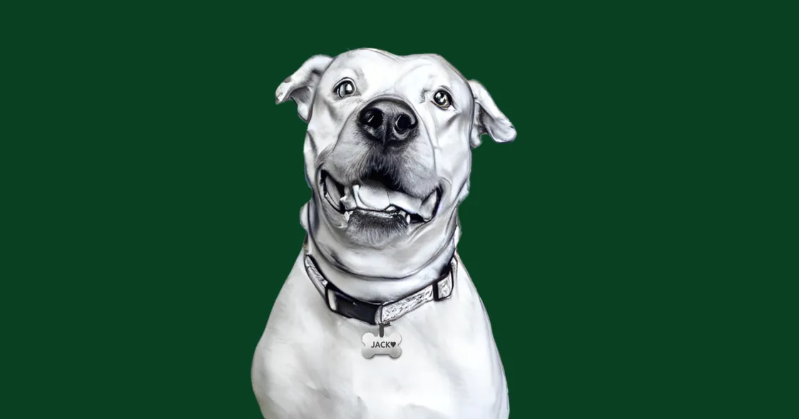 A Day of Magic, for Jack