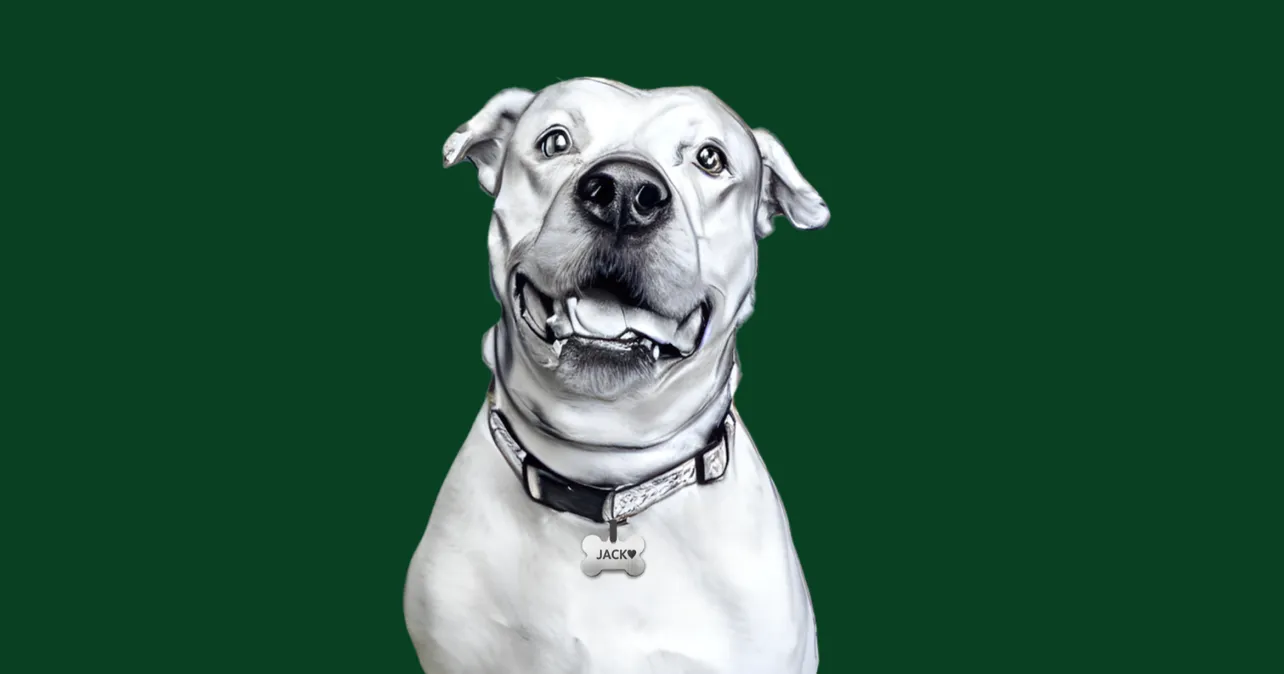 A Day of Magic, for Jack